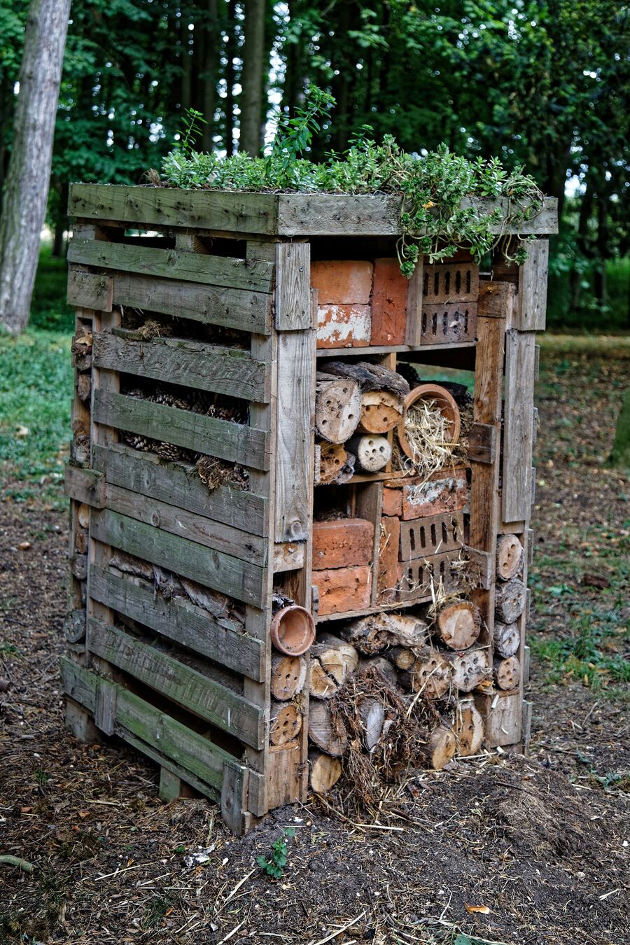 Een insectenhotel uit gestapelde paletten, gevuld met stammetjes en stenen